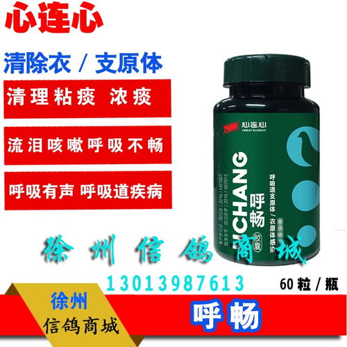 信鸽药品新呼畅胶囊 2016升级白芷配方，专业护鸽更安心